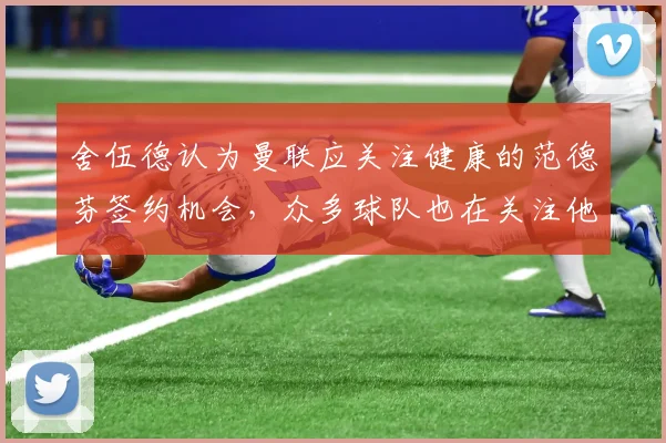 舍伍德认为曼联应关注健康的范德芬签约机会，众多球队也在关注他