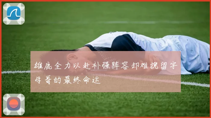 雄鹿全力以赴补强阵容却难挽留字母哥的最终命运