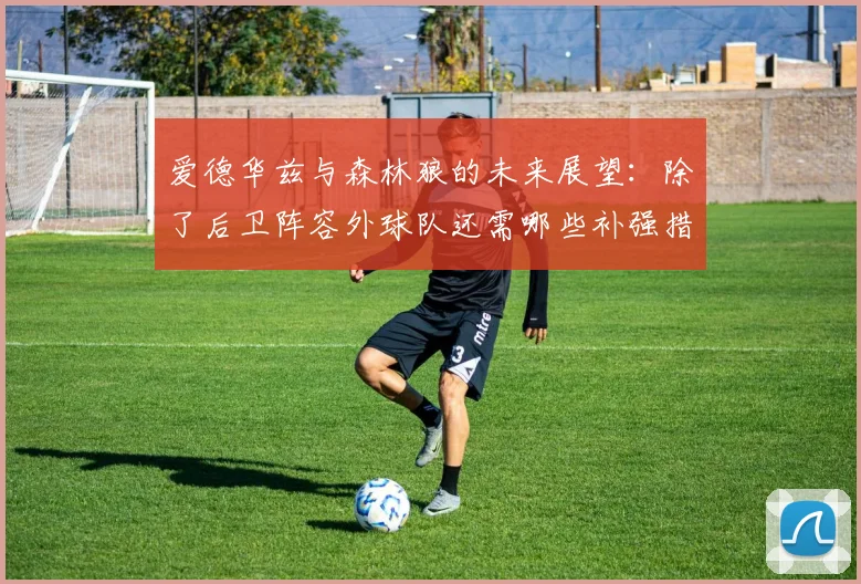 爱德华兹与森林狼的未来展望：除了后卫阵容外球队还需哪些补强措施