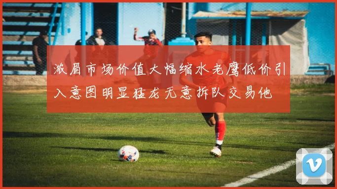 浓眉市场价值大幅缩水老鹰低价引入意图明显猛龙无意拆队交易他