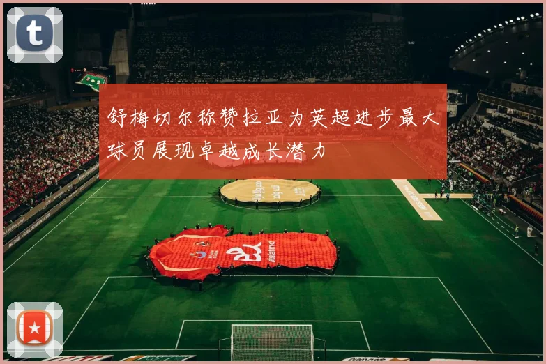 舒梅切尔称赞拉亚为英超进步最大球员展现卓越成长潜力
