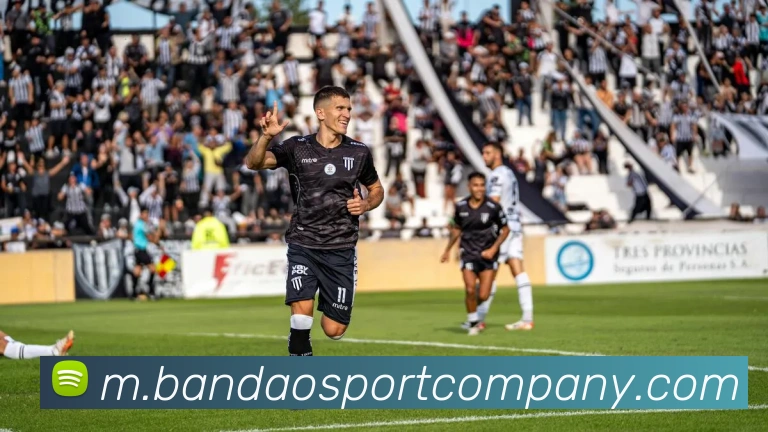 半岛足球体育平台生态图