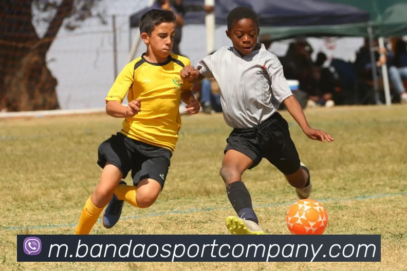 半岛足球体育全站App